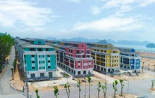 Quảng Ninh: Gia hạn thời gian thuê đất thêm 4 năm cho dự án Sonasea Vân Đồn Harbor City của Tập đoàn CEO