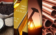 Thị trường ngày 31/1: Giá dầu, vàng, đồng và cao su đồng loạt giảm, đường thô cao nhất gần 6 năm