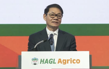 HAGL Agrico (HNG) lỗ kỷ lục 2.800 tỷ trong quý 4/2022, gần 7.000 tỷ lỗ luỹ kế đã "ngốn" hơn nửa vốn chủ