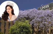 Ngôi trường Hoa hậu Bảo Ngọc vừa nhận học bổng 230 triệu: Xếp hạng hàng đầu nước Úc, khuôn viên thơ mộng và hiện đại bậc nhất