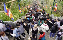 Du lịch Quảng Ninh: Chấn chỉnh những con số 'giật mình'