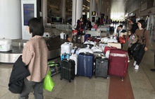 Cấm bay 2 nữ hành khách ăn trộm, chiếm đoạt tài sản người khác tại sân bay