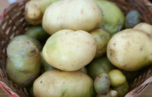 5 điều cấm kỵ khi bảo quản khoai tây khiến nhanh hỏng, ăn vào thậm chí còn gây ung thư