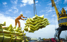Một loại nông sản xuất khẩu sang Indonesia tăng đột biến về cả kim ngạch lẫn sản lượng
