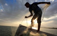 Thị trường hồi phục, khối ngoại quay đầu mua ròng hơn trăm tỷ