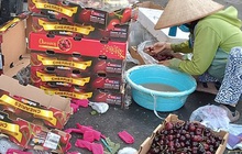Sự thật về cherry siêu rẻ bao ngon