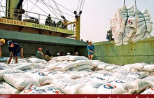 Xuất khẩu gạo năm nay có thể đạt 7 triệu tấn