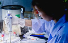 Nghiên cứu Đại học Oxford: Ăn thịt gà thường xuyên làm tăng nguy cơ mắc 3 loại ung thư nhưng có cách ăn để giảm nguy hiểm