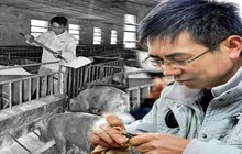 Phó giám đốc Trung Quốc tự biến mình thành "đặc vụ ngầm": 5 lần "ẩn thân" vào các doanh nghiệp lớn, đi chăn lợn, làm xưởng may chỉ để giúp dân tìm việc tốt