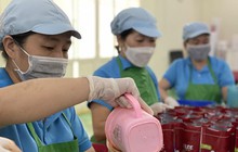 Vay lãi suất cao, doanh nghiệp nhỏ đối mặt rủi ro lớn