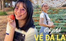 Bỏ phố về Đà Lạt: Từng làm ngân hàng 7 năm cũng không tìm được việc, lương thấp nhưng chi phí sinh hoạt không hề rẻ
