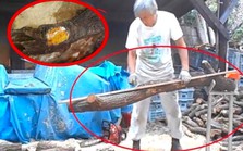 Người đàn ông dùng 1 sợi dây thép "cưa" khúc gỗ lạ, cả hiện trường “náo loạn” khiến cảnh sát ập đến: Báu vật tiền tỷ xuất hiện, được giao nộp cho nhà nước