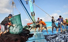 Thủ tướng yêu cầu quyết tâm gỡ 'thẻ vàng' thủy sản Thủ tướng yêu cầu quyết tâm gỡ 'thẻ vàng' thủy sản
