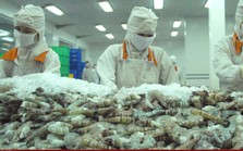 Xuất khẩu thủy sản có thể mang về 9,2 tỷ USD