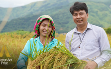 Người truyền cảm hứng làm nông nghiệp ứng phó biến đổi khí hậu ở xã bản vùng cao, đưa cây lúa địa phương thành "đặc sản 3 sao" nức tiếng