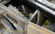 Đang trong nhà, người phụ nữ nghe thấy tiếng nổ như bom: Xuất phát từ thiết bị quen thuộc nhà nào cũng có