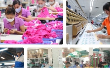 Bức tranh kinh tế Việt Nam 11 tháng đầu năm 2023: Nhiều gam màu sáng Bức tranh kinh tế Việt Nam 11 tháng đầu năm 2023: Nhiều gam màu sáng