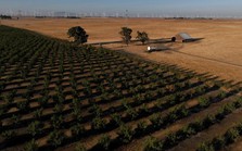 Âm thầm chi hơn 800 triệu USD mua đất nông nghiệp để làm dự án “không tưởng”, nhóm tỷ phú công nghệ Mỹ vấp phải phản ứng dữ dội