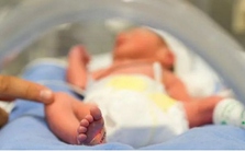 Khoảng giữa tháng 4, Việt Nam sẽ đón công dân thứ 100 triệu