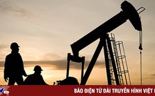 Giá dầu quay đầu giảm Giá dầu quay đầu giảm