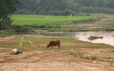 Cận cảnh dự án trăm tỷ nguồn ADB thi công ì ạch ở Quảng Trị
