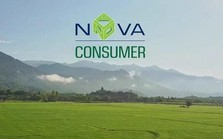 Nova Consumer lên kế hoạch lợi nhuận giảm 70%, bán mảng gà để cắt lỗ Nova Consumer lên kế hoạch lợi nhuận giảm 70%, bán mảng gà để cắt lỗ