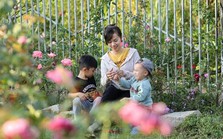 Bà mẹ 2 con đổ mồ hôi trồng hoa trái và rau sạch, tìm bình yên trong khu vườn nhỏ