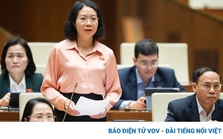 Đại biểu Quốc hội chuyên trách sẽ thảo luận dự thảo Luật Đất đai sửa đổi Đại biểu Quốc hội chuyên trách sẽ thảo luận dự thảo Luật Đất đai sửa đổi