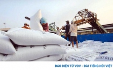 Indonesia dự tính nhập thêm 2 triệu tấn gạo, cơ hội cho doanh nghiệp Việt