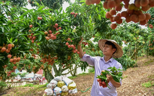 Doanh nghiệp lên kịch bản xuất khẩu vải niên vụ 2022 - 2023 Doanh nghiệp lên kịch bản xuất khẩu vải niên vụ 2022 - 2023