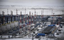 Các nước EU hướng tới ngừng nhập khẩu LNG của Nga Các nước EU hướng tới ngừng nhập khẩu LNG của Nga