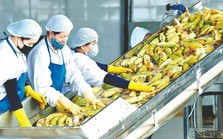 Xuất khẩu nhiều mặt hàng chủ lực giảm mạnh