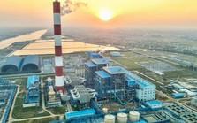 Việt Nam có nhiều bước tiến về xây dựng thị trường carbon Việt Nam có nhiều bước tiến về xây dựng thị trường carbon