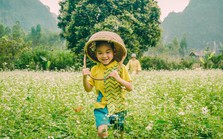 Người phụ nữ dành hơn 1 năm cải tạo ngôi nhà đá giữa thung lũng làm nơi nương náu cho tâm hồn, kết nối những đứa trẻ với thiên nhiên