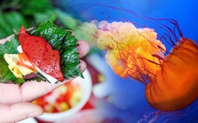 Vào mùa, đi săn sứa đỏ - "kim cương" của vùng biển Cô Tô