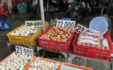 Trứng gà rẻ chưa từng có Trứng gà rẻ chưa từng có