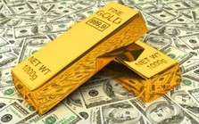Đầu tư vàng hay USD để sinh lời? Đầu tư vàng hay USD để sinh lời?