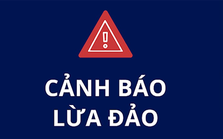 Pinetree lên tiếng về chiến dịch cùng Ninh Dương Lan Ngọc bị mạo danh Pinetree lên tiếng về chiến dịch cùng Ninh Dương Lan Ngọc bị mạo danh