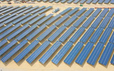 Dự án điện mặt trời Bamboo Capital vận hành thương mại sớm nhất trong các dự án năng lượng tái tạo chuyển tiếp