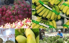 Xuất khẩu nông, lâm, thuỷ sản trong 5 tháng thu về hơn 20 tỷ USD Xuất khẩu nông, lâm, thuỷ sản trong 5 tháng thu về hơn 20 tỷ USD