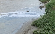 CLIP: Kinh hoàng nước thải đen ngòm đổ ra sông ở Đà Nẵng