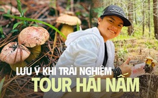Nhiều gia đình cùng lên Đà Lạt hái nấm dịp hè, người bản địa nhắc nhở nên lưu ý điều gì?