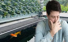 Bán nhà phố lấy 16 tỷ đồng về quê "trồng rau nuôi cá" với mô hình lạ, tôi lỗ nặng sau 1 năm: Chạy theo trào lưu nhưng phải nắm vững điều này mới thành công