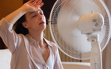 Không cần điều hòa vẫn mát, mách bạn mẹo vô cùng đơn giản Không cần điều hòa vẫn mát, mách bạn mẹo vô cùng đơn giản