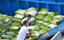 Xuất khẩu gạo tiếp tục đón "tin vui"
