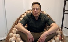 Ông hoàng chơi ngông Elon Musk: "Bỏ tất cả trứng vào một giỏ cũng không sao, miễn là mọi thứ trong tầm kiểm soát của bạn"