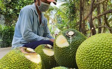 Kim ngạch xuất khẩu tăng tháng thứ 4 liên tiếp Kim ngạch xuất khẩu tăng tháng thứ 4 liên tiếp