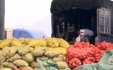 Trung Quốc đứng đầu thị trường nhập khẩu rau quả Việt Nam