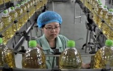 Trung Quốc xuất khẩu dầu ăn đã qua sử dụng sang Mỹ Trung Quốc xuất khẩu dầu ăn đã qua sử dụng sang Mỹ