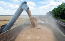 Nga đề xuất biện pháp giải quyết ngũ cốc thừa của Ukraine Nga đề xuất biện pháp giải quyết ngũ cốc thừa của Ukraine